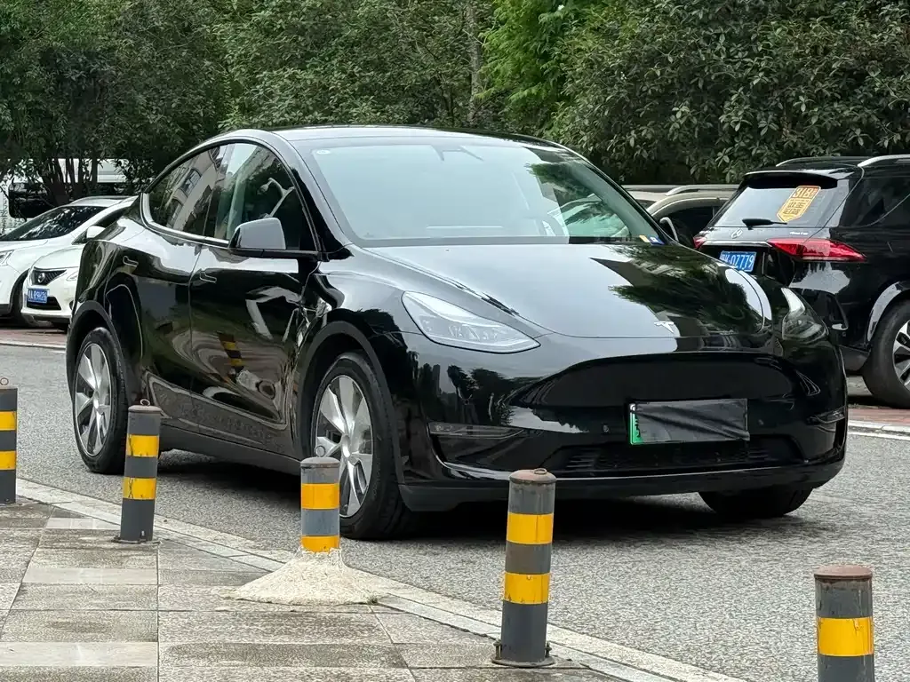 Tesla Model Y — фото 2