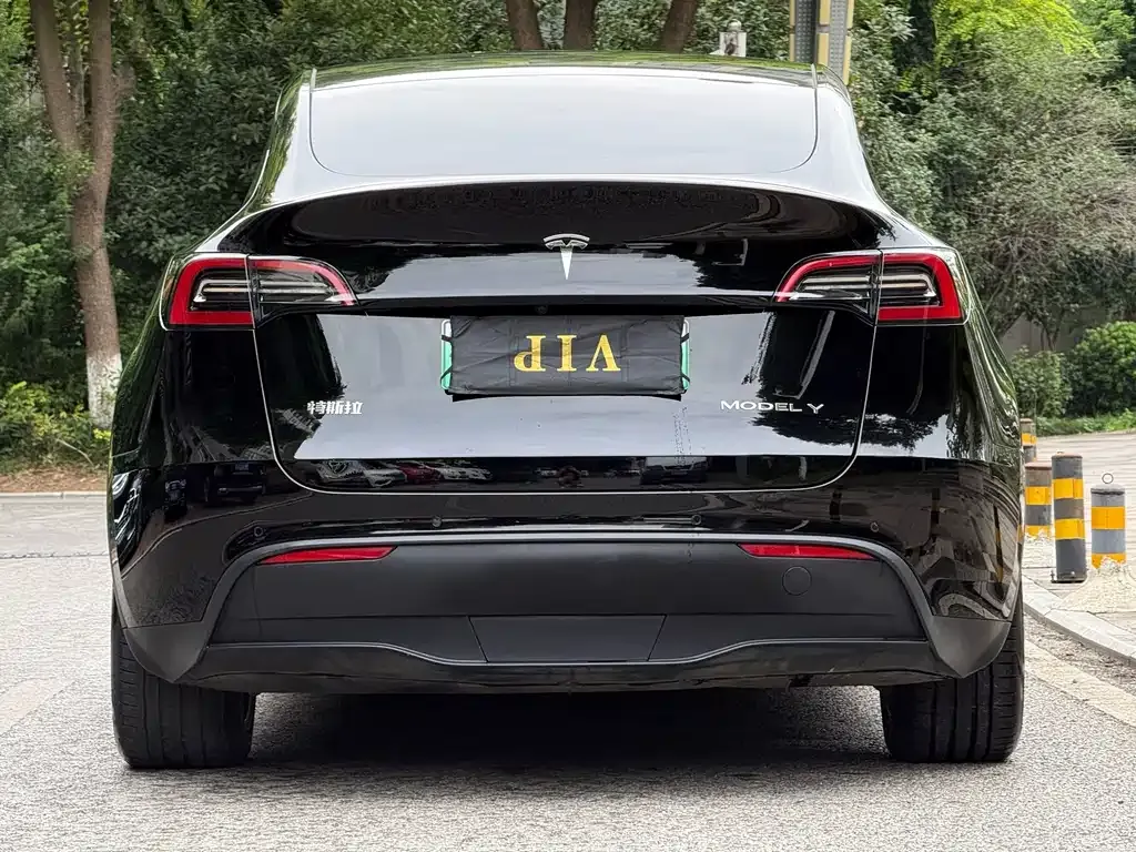 Tesla Model Y — фото 5