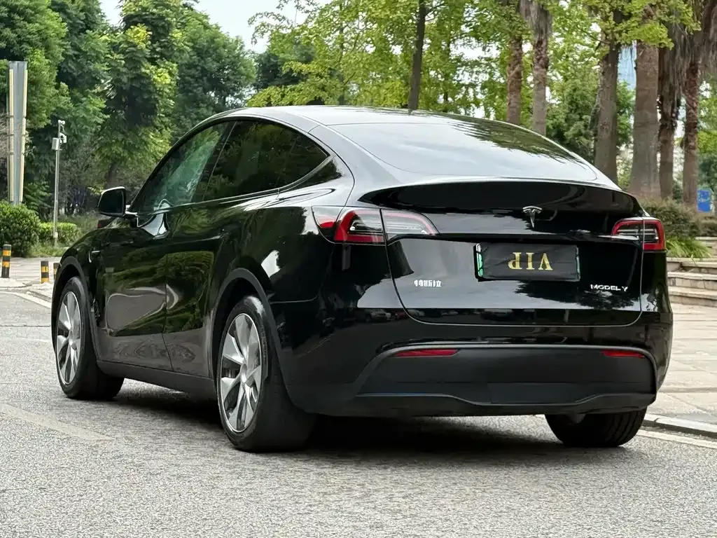 Tesla Model Y — фото 4
