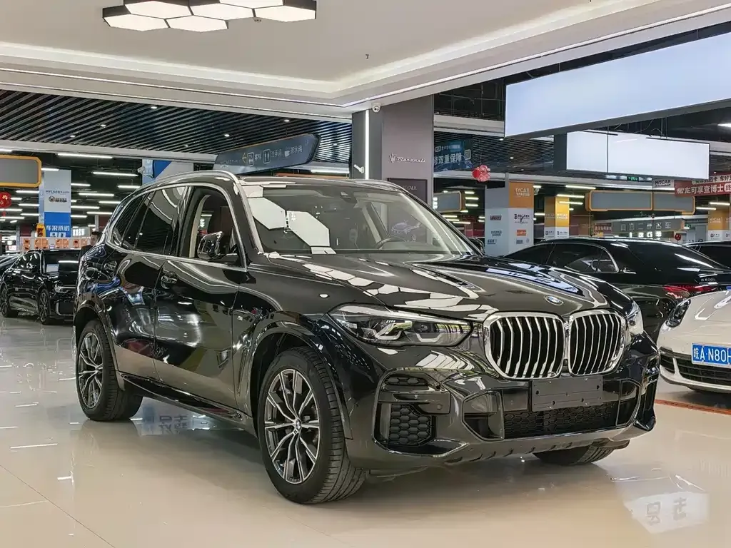 BMW X5 (Import) — фото 6