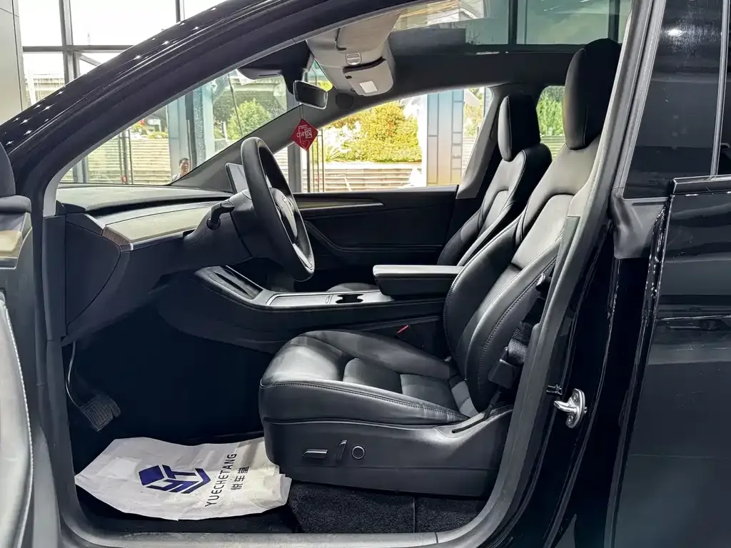Tesla Model Y — фото 10