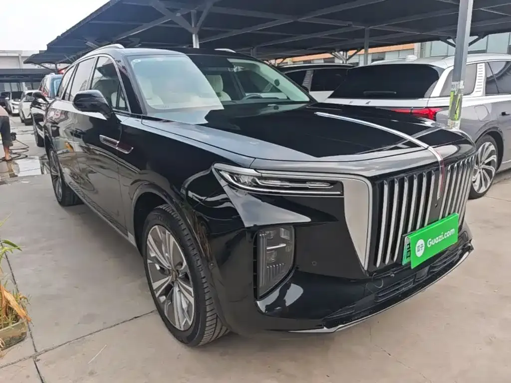 Hongqi E-HS9 — фото 10