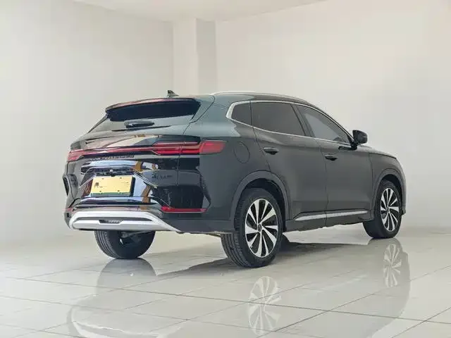 BYD PLUS New Energy — фото 4