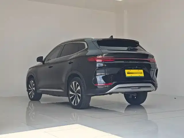 BYD PLUS New Energy — фото 6