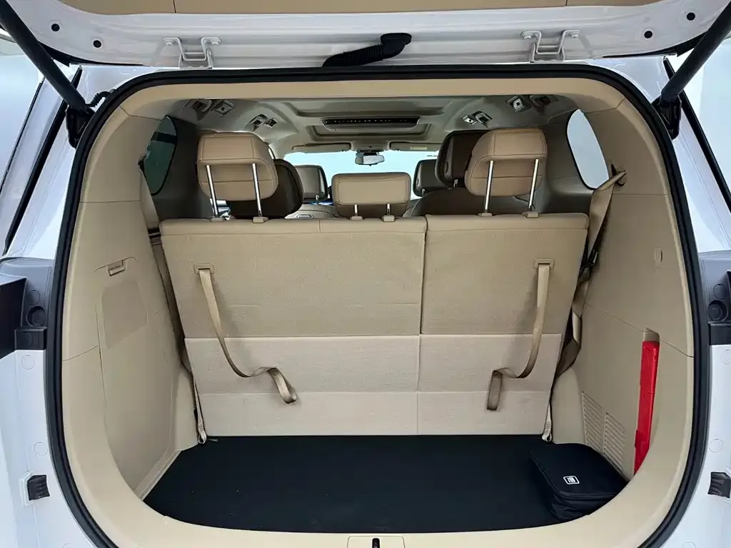 Buick GL8 Hybrid — фото 8