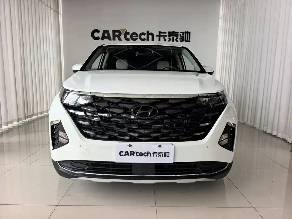 Hyundai Custo — фото 4