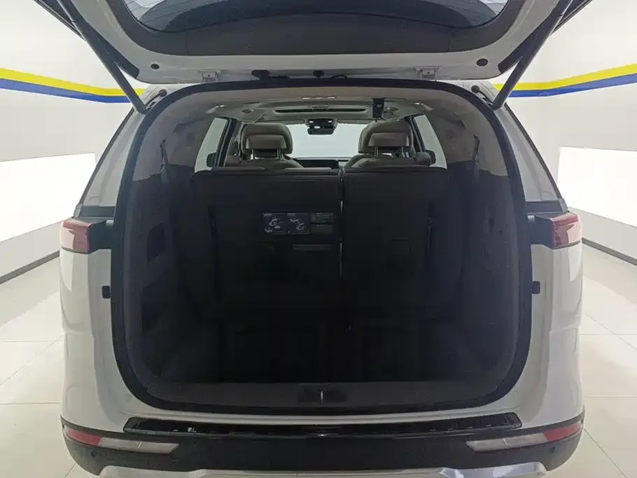 Kia Carnival — фото 10