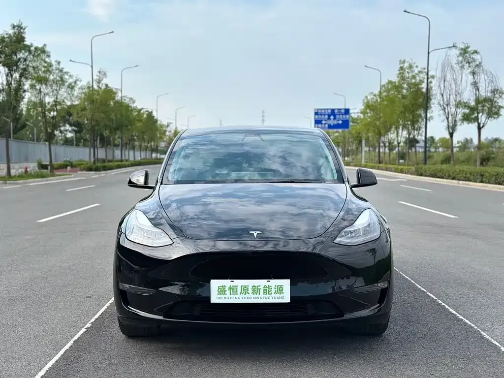 Tesla Model Y — фото 5
