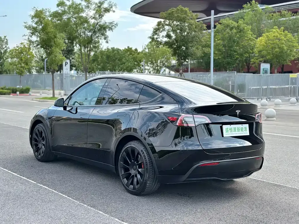 Tesla Model Y — фото 3