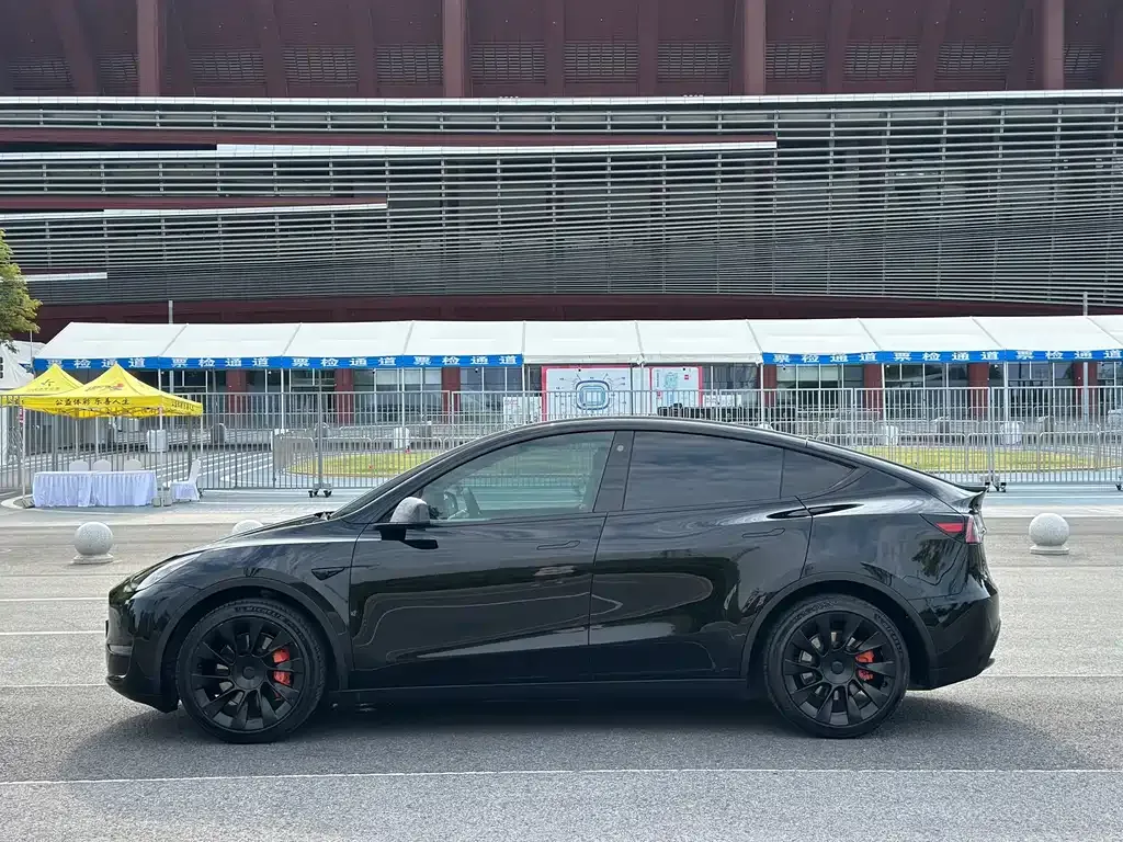 Tesla Model Y — фото 2