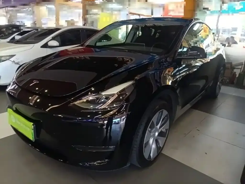 Tesla Model Y — фото 2