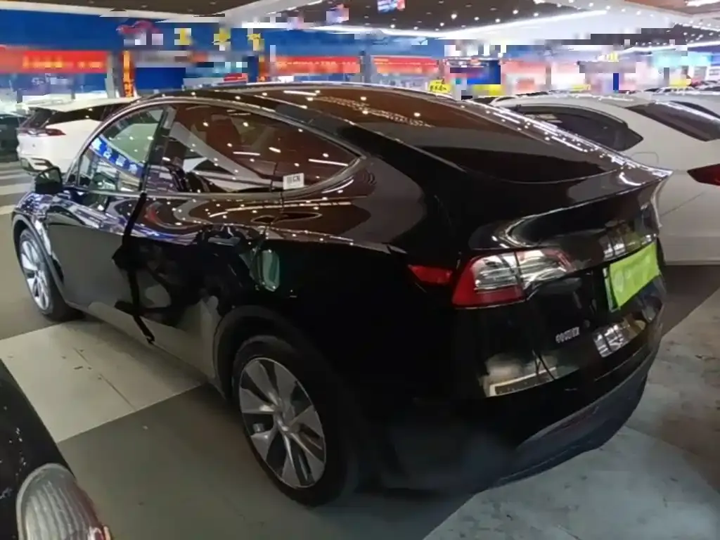 Tesla Model Y — фото 10