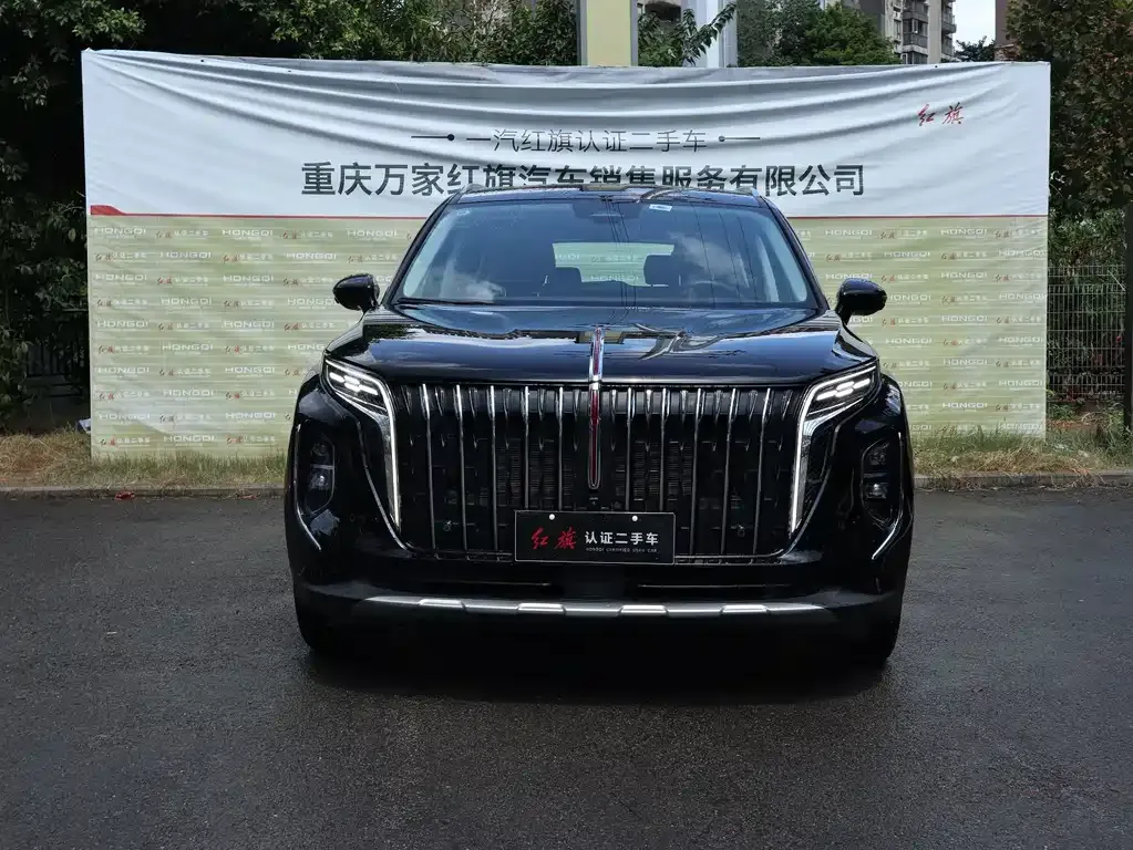 Hongqi HS7 PHEV — фото 7