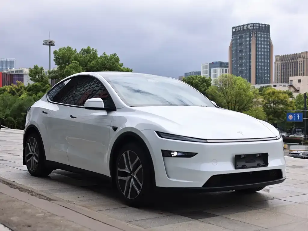 Tesla Model Y — фото 7