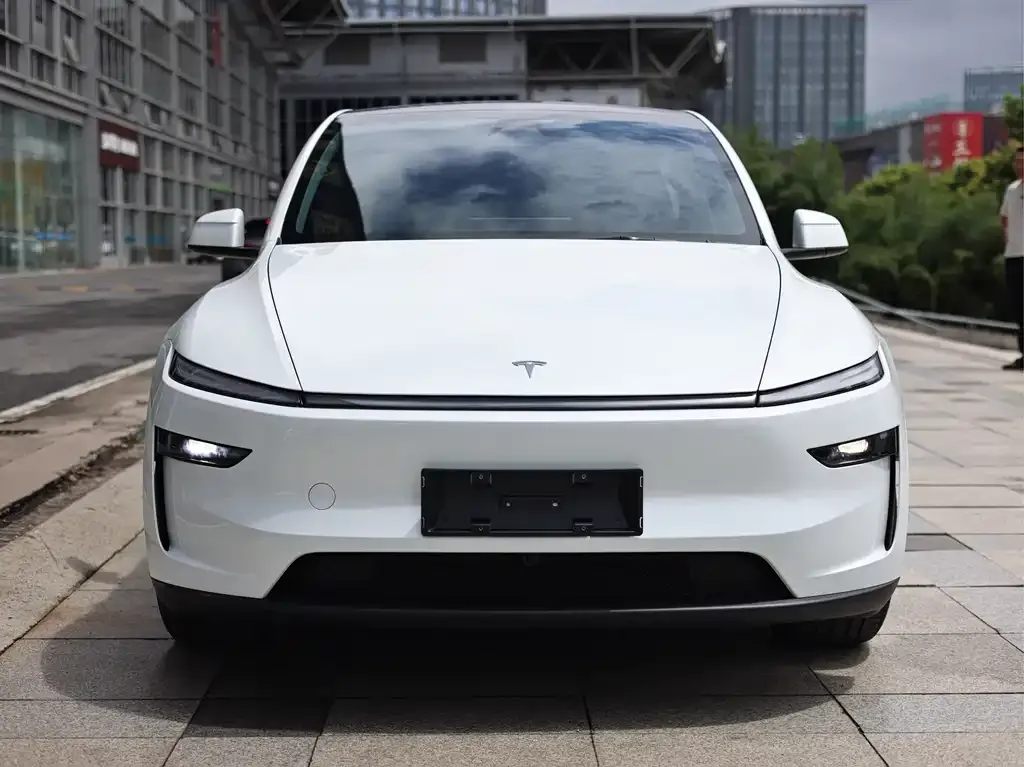 Tesla Model Y — фото 5