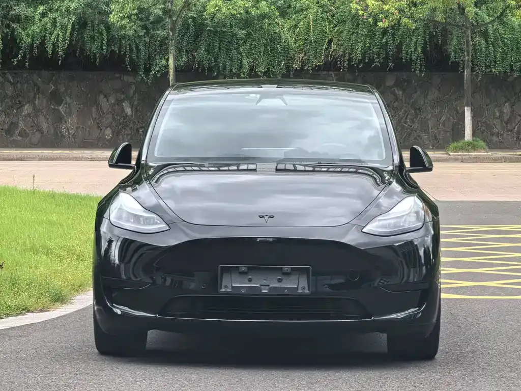 Tesla Model Y — фото 9