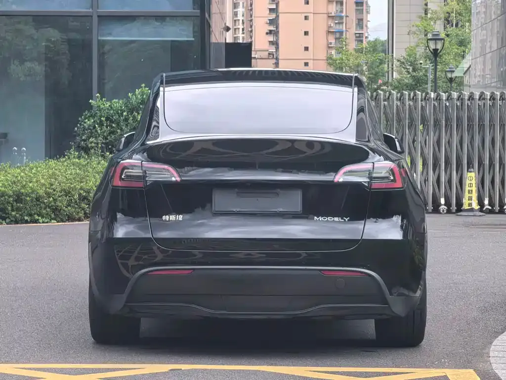 Tesla Model Y — фото 6