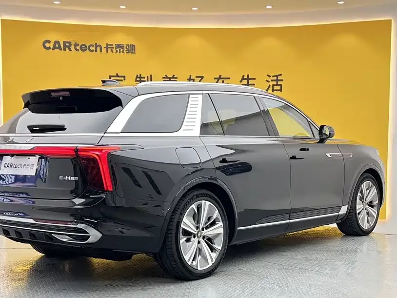 Hongqi E-HS9 — фото 10