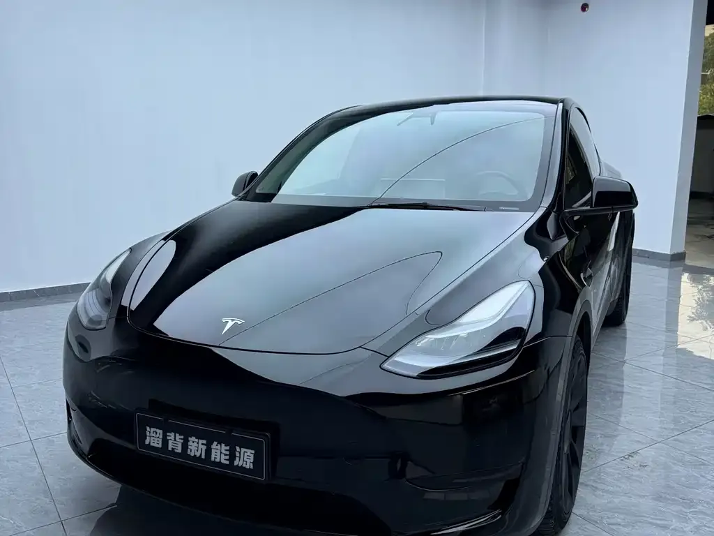 Tesla Model Y — фото 10