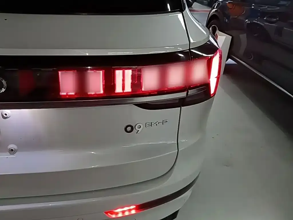 Lynk & Co 09 PHEV — фото 2