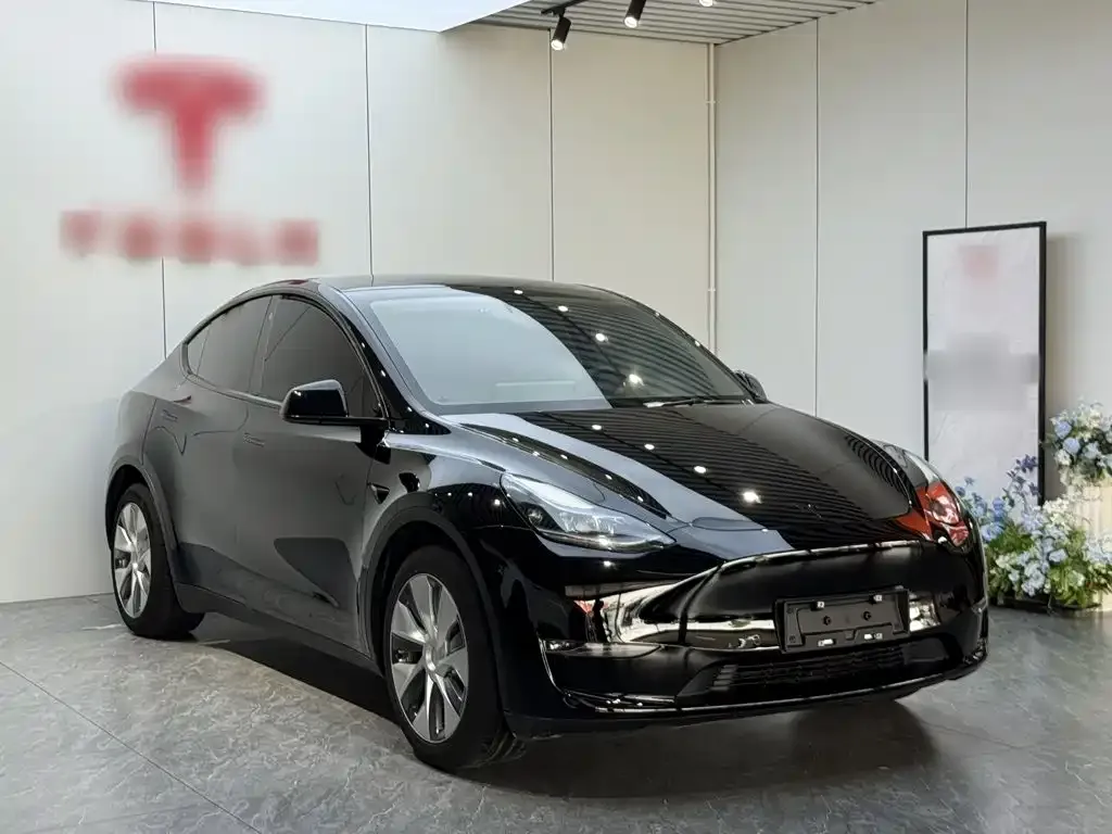 Tesla Model Y — фото 10