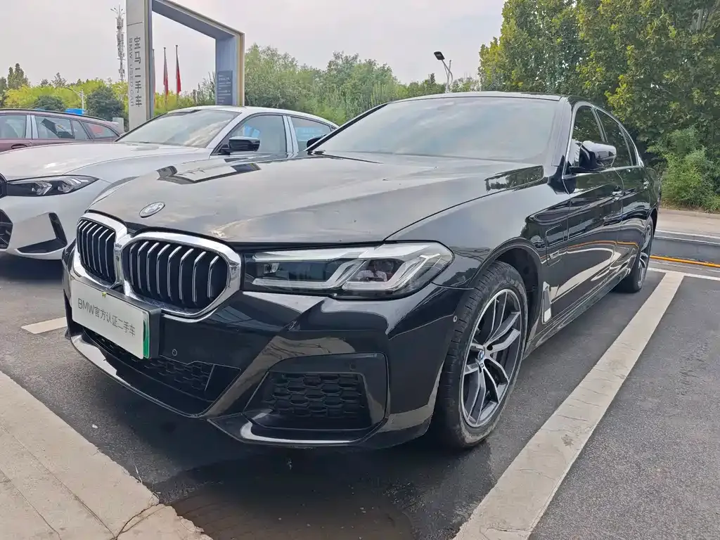 BMW 5 Series New Energy — фото 1