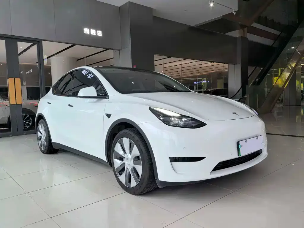 Tesla Model Y — фото 3