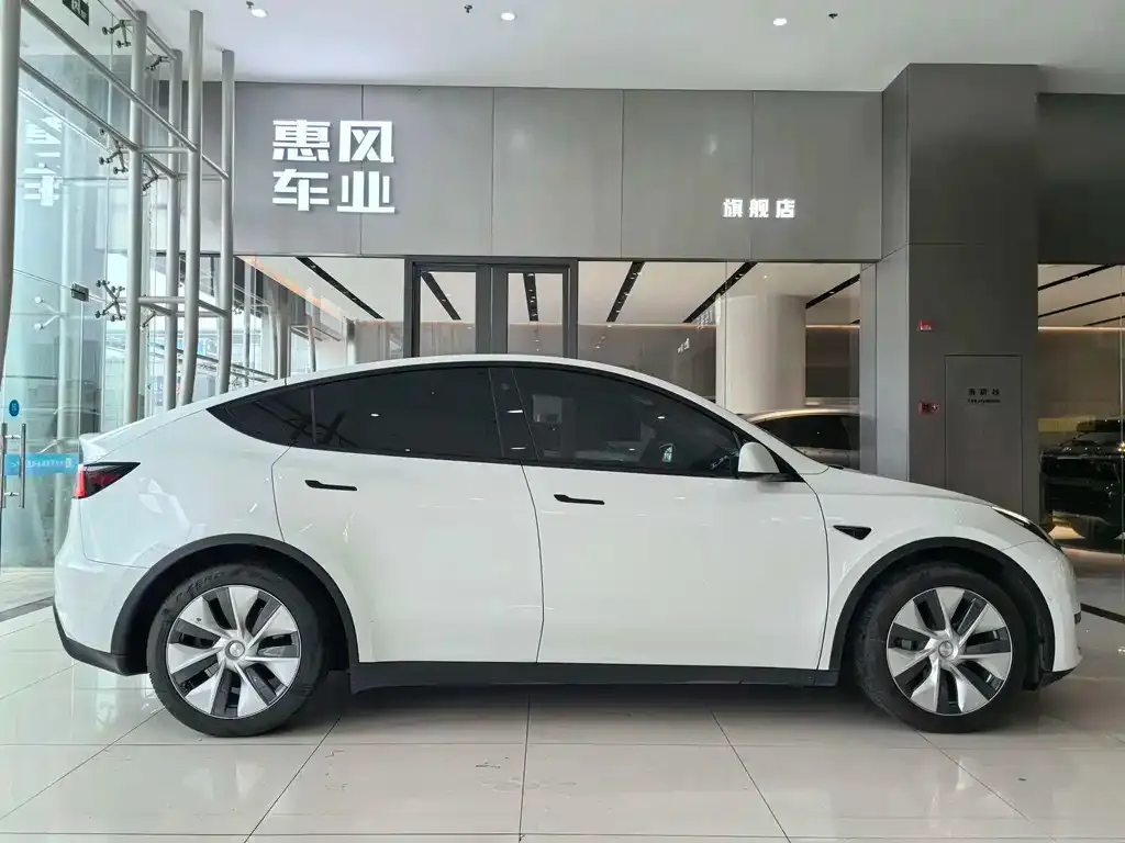 Tesla Model Y — фото 10