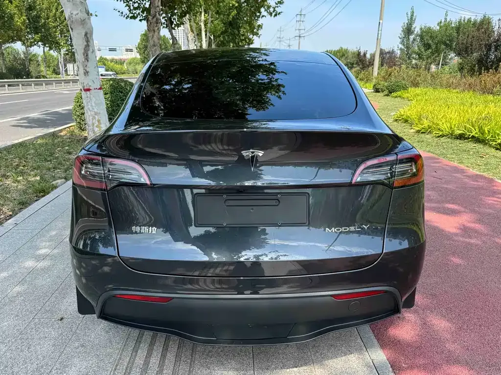 Tesla Model Y — фото 9