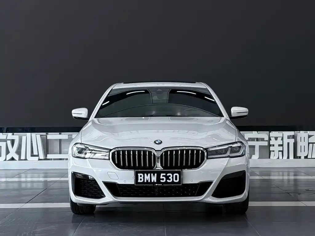 BMW 5 Series — фото 3