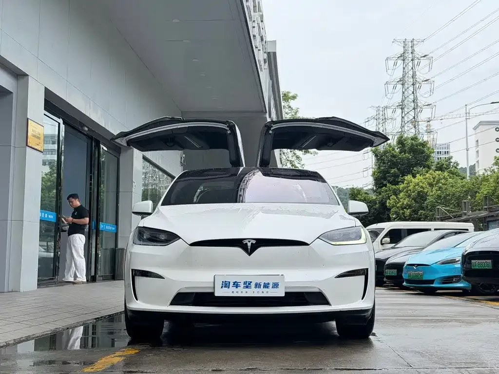 Tesla Model X — фото 9