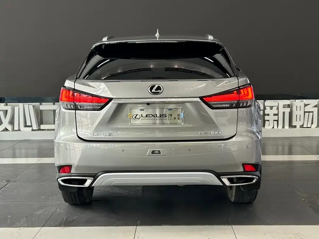 Lexus RX — фото 8