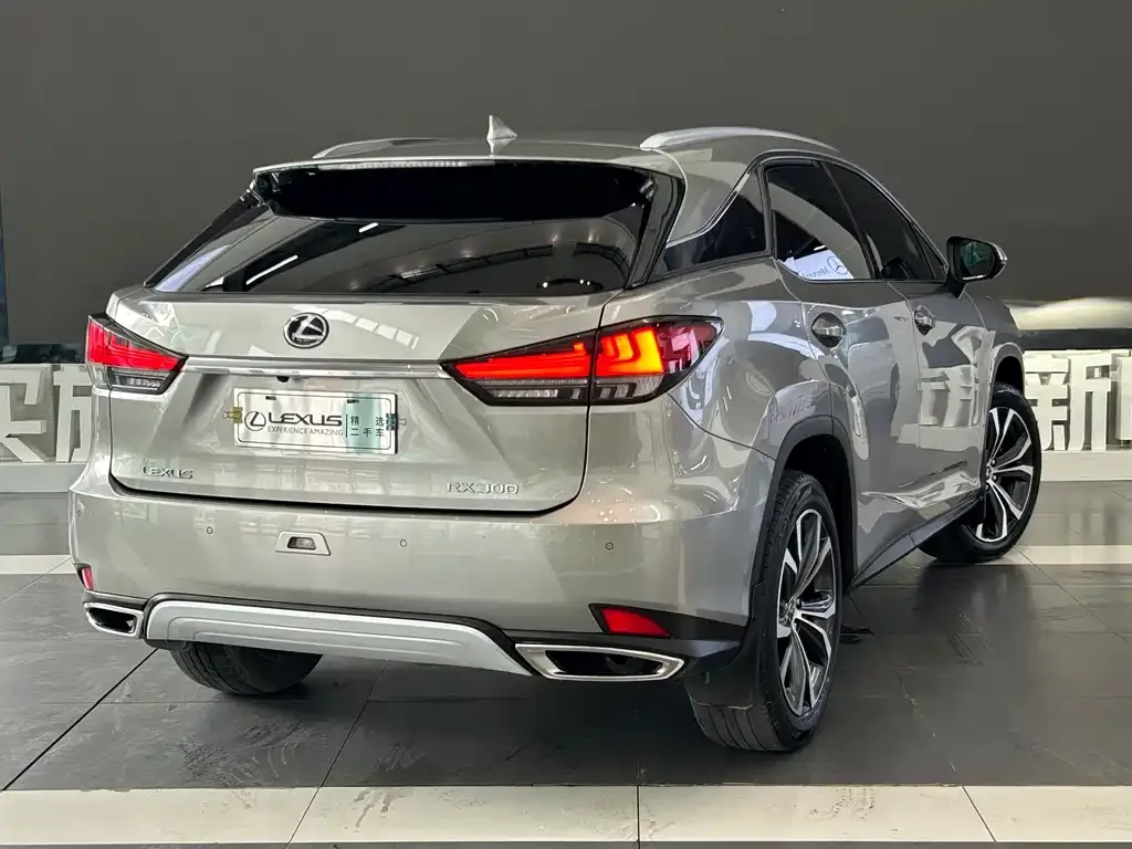 Lexus RX — фото 5