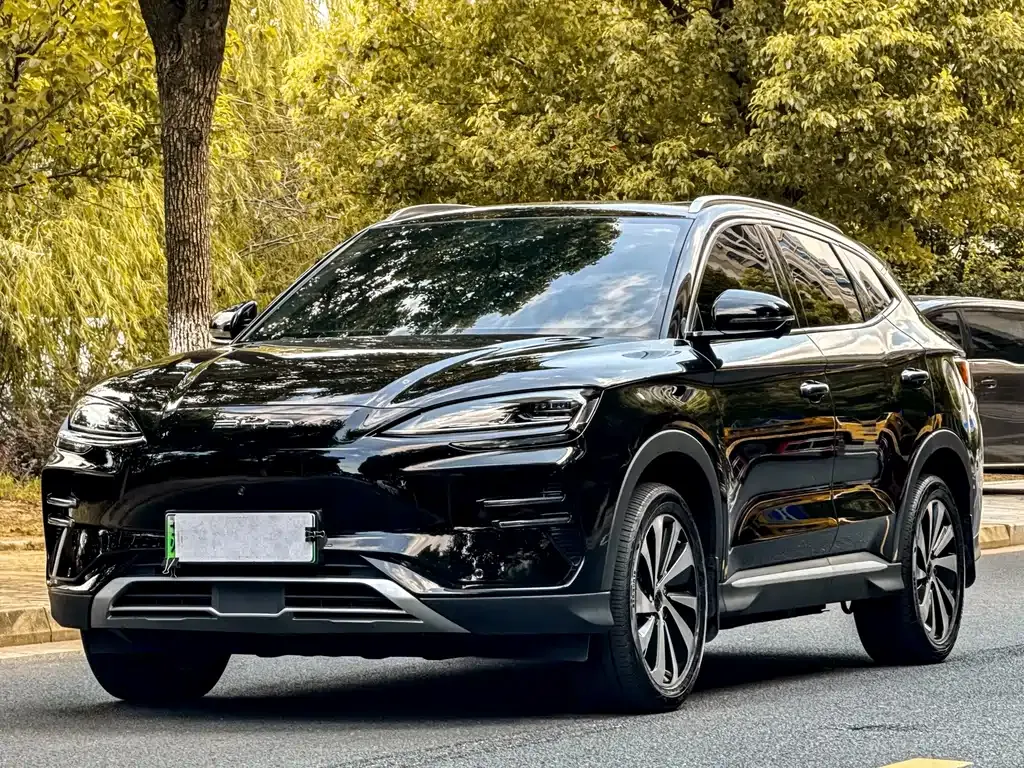 BYD PLUS New Energy — фото 1