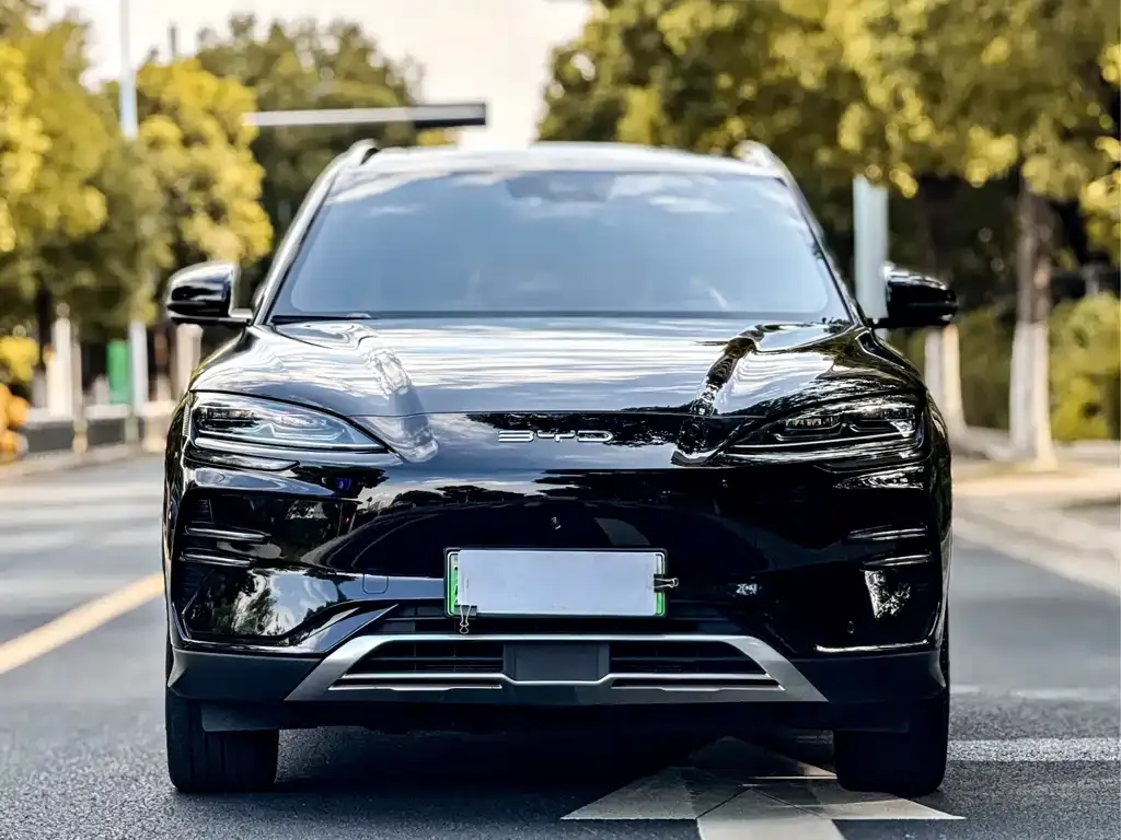 BYD PLUS New Energy — фото 2