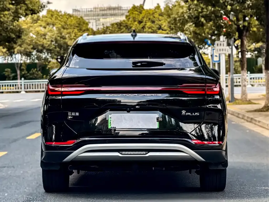 BYD PLUS New Energy — фото 6