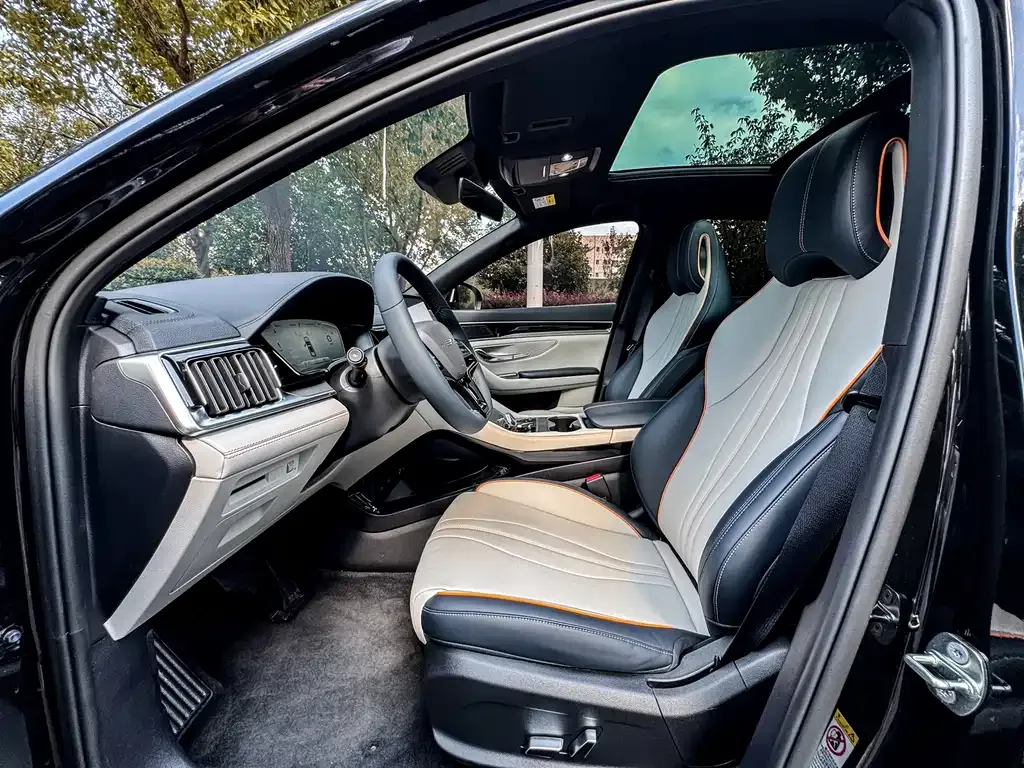 BYD PLUS New Energy — фото 8