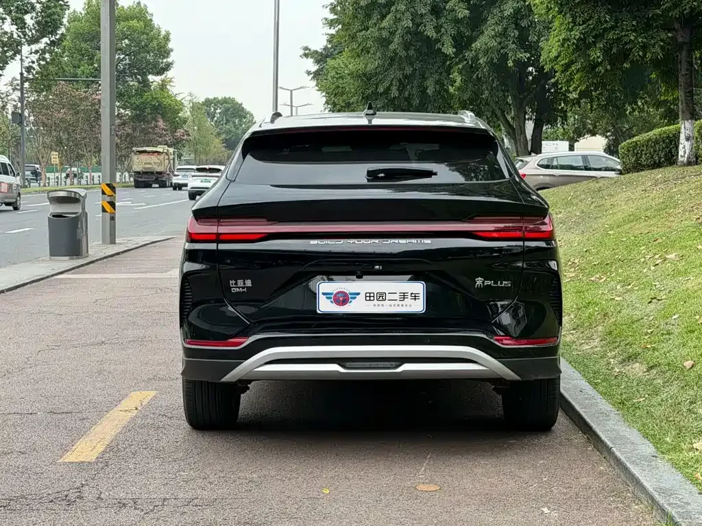 BYD PLUS New Energy — фото 10