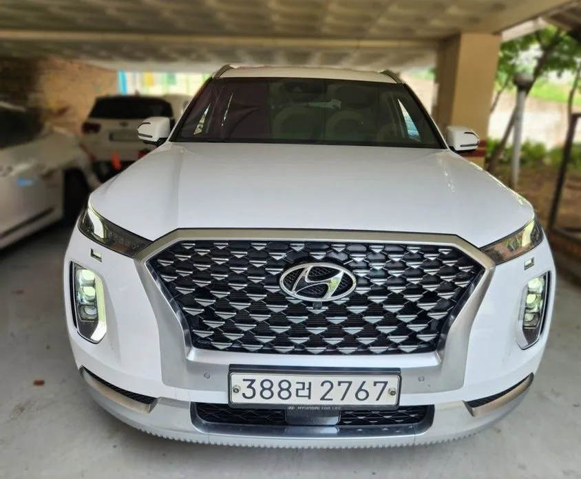 Hyundai Palisade — фото 8