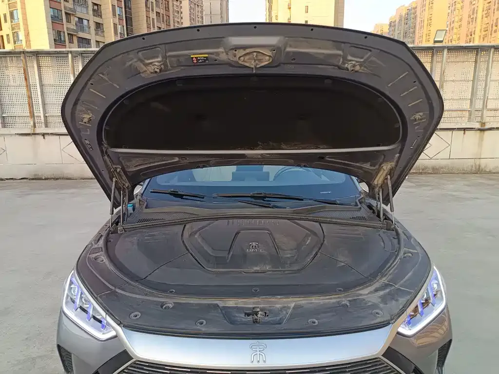 BYD PLUS New Energy — фото 8