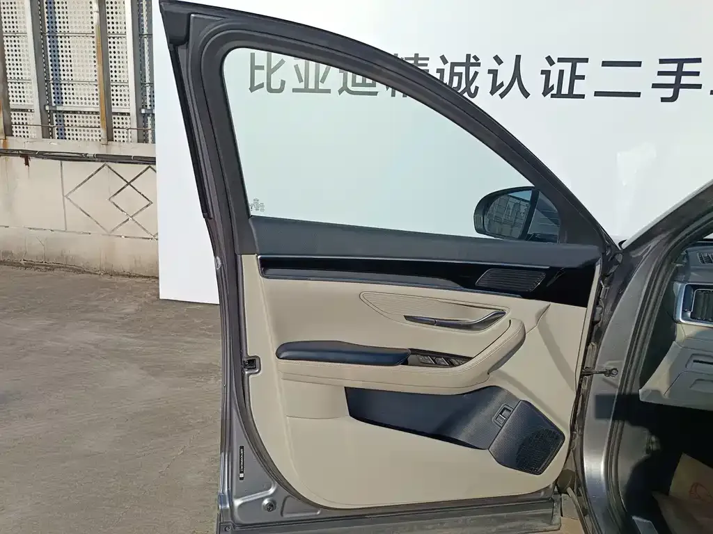 BYD PLUS New Energy — фото 6