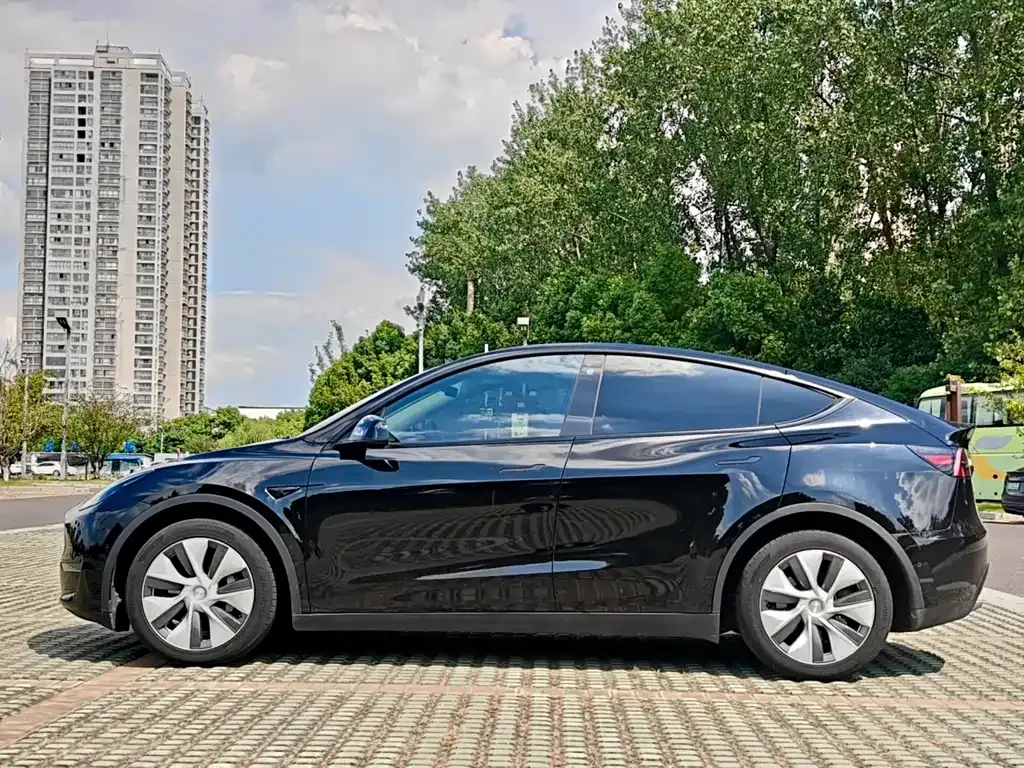 Tesla Model Y — фото 10