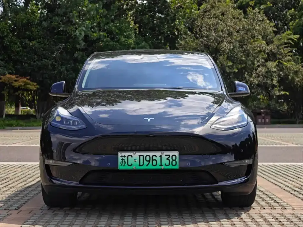 Tesla Model Y — фото 5