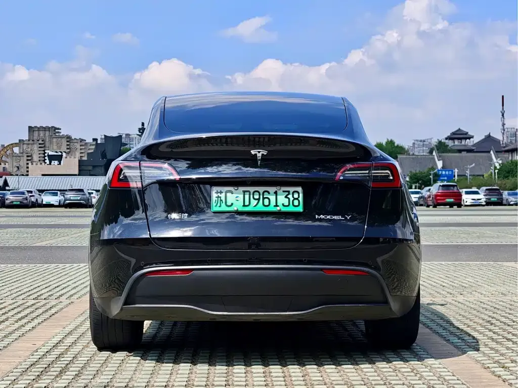 Tesla Model Y — фото 6