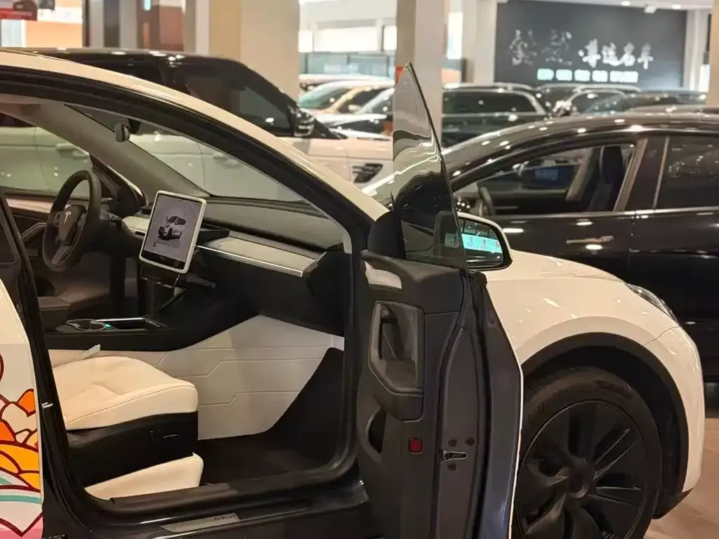 Tesla Model Y — фото 4