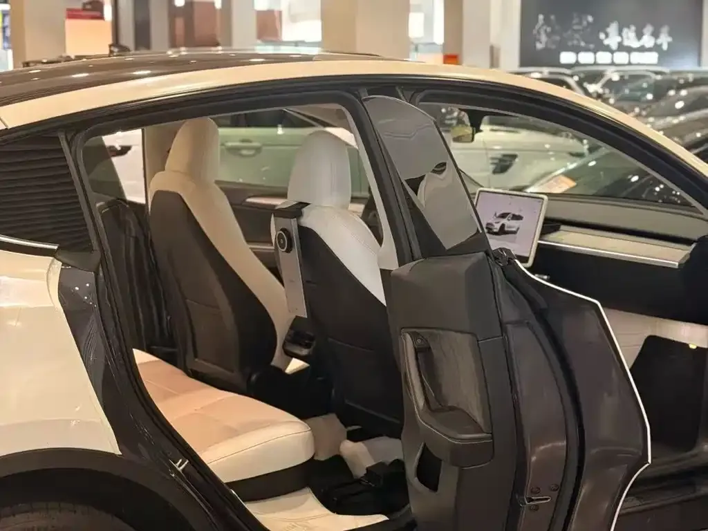 Tesla Model Y — фото 6