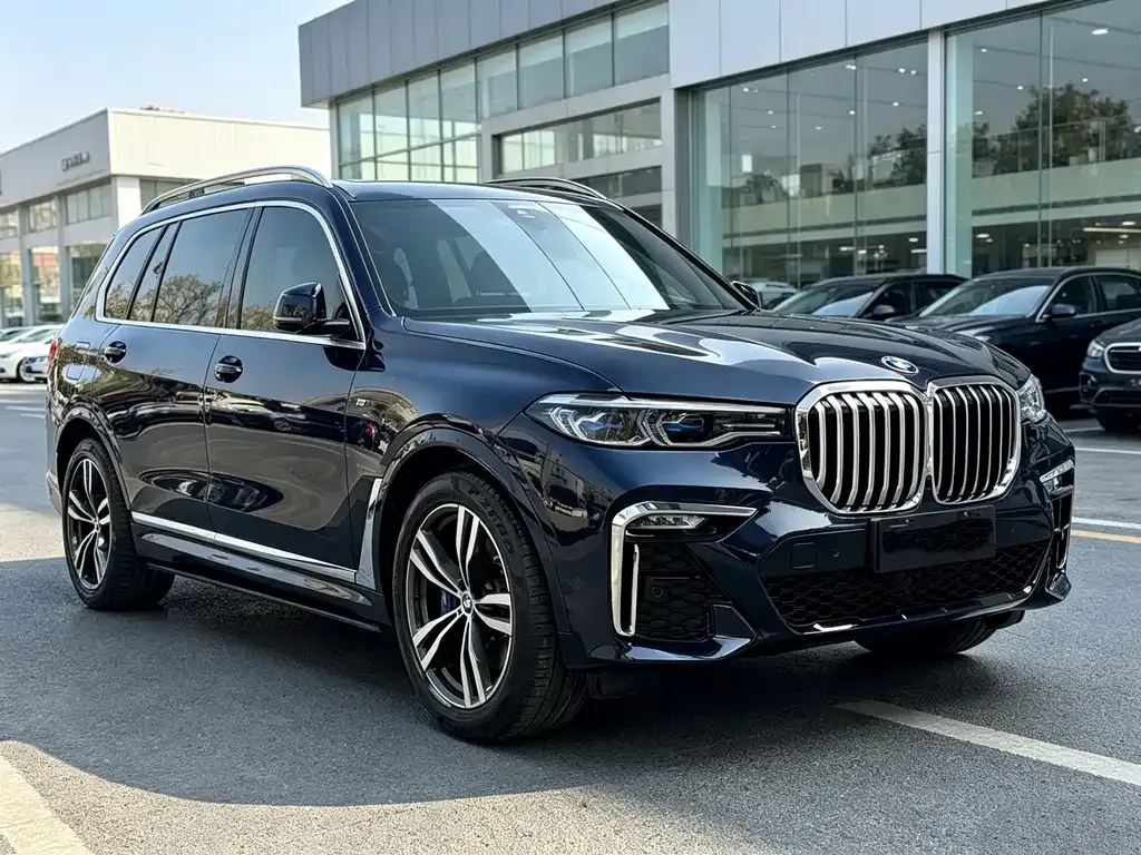 BMW X7 — фото 10