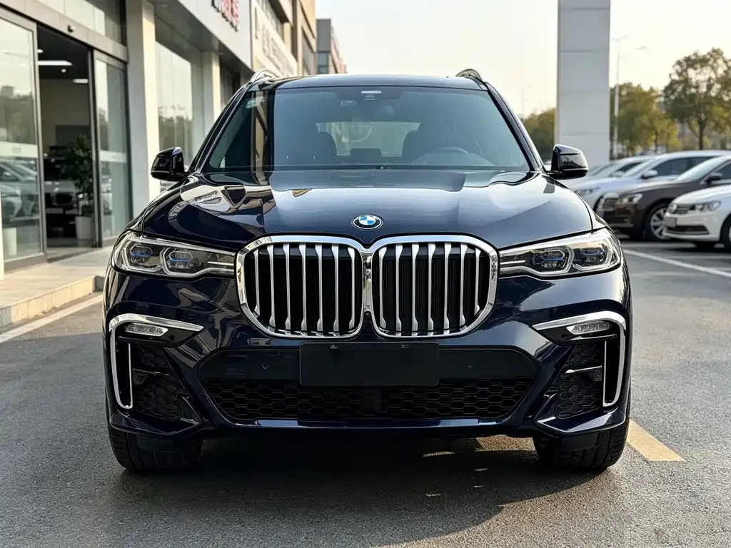BMW X7 — фото 6