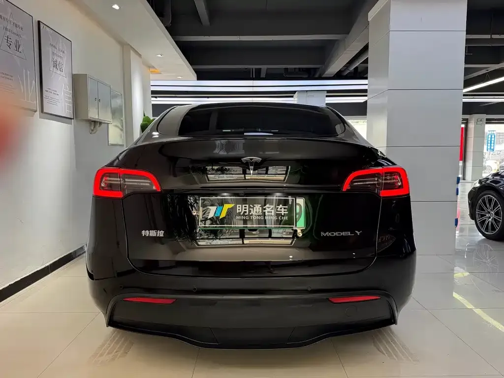 Tesla Model Y — фото 4