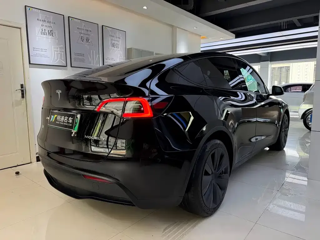 Tesla Model Y — фото 9